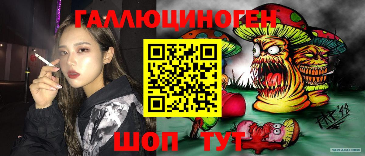 Псилоцибиновые грибы мухоморы Светлоград