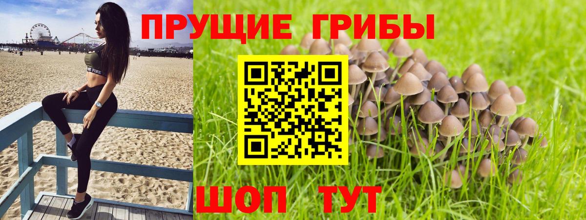 Гашиш Светлоград