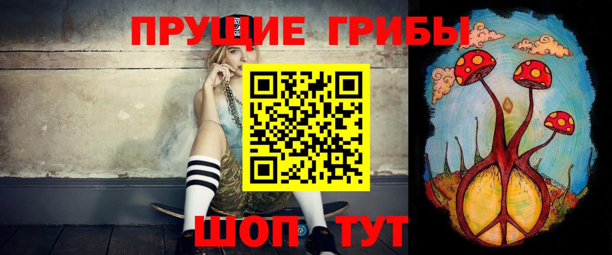 Светлоград  Псилоцибиновые грибы Cubensis  Вход с VPN  Псилоцибиновые грибы Psilocybe 